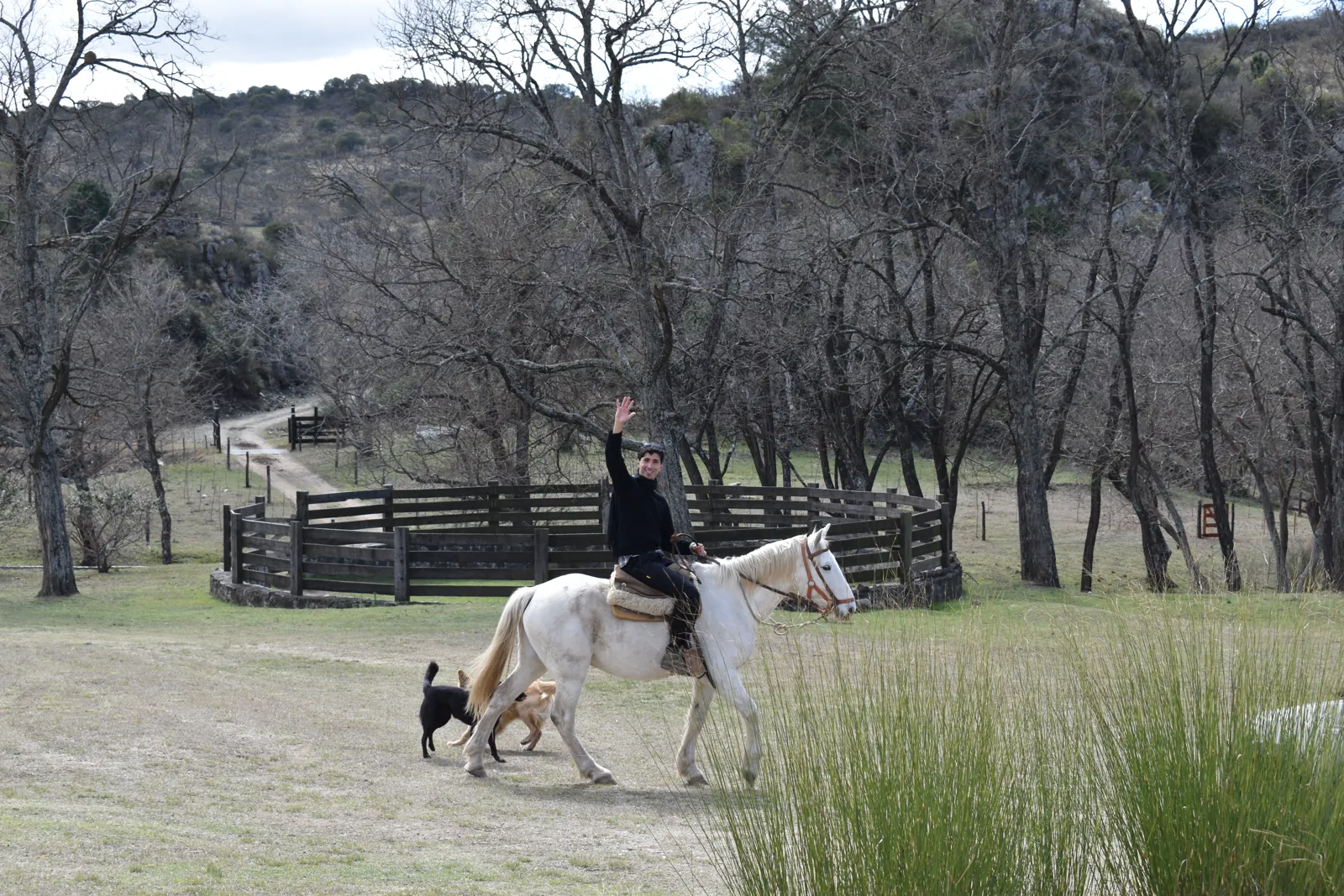 Un recorrido a caballo entre los árboles de Acuarela del Río