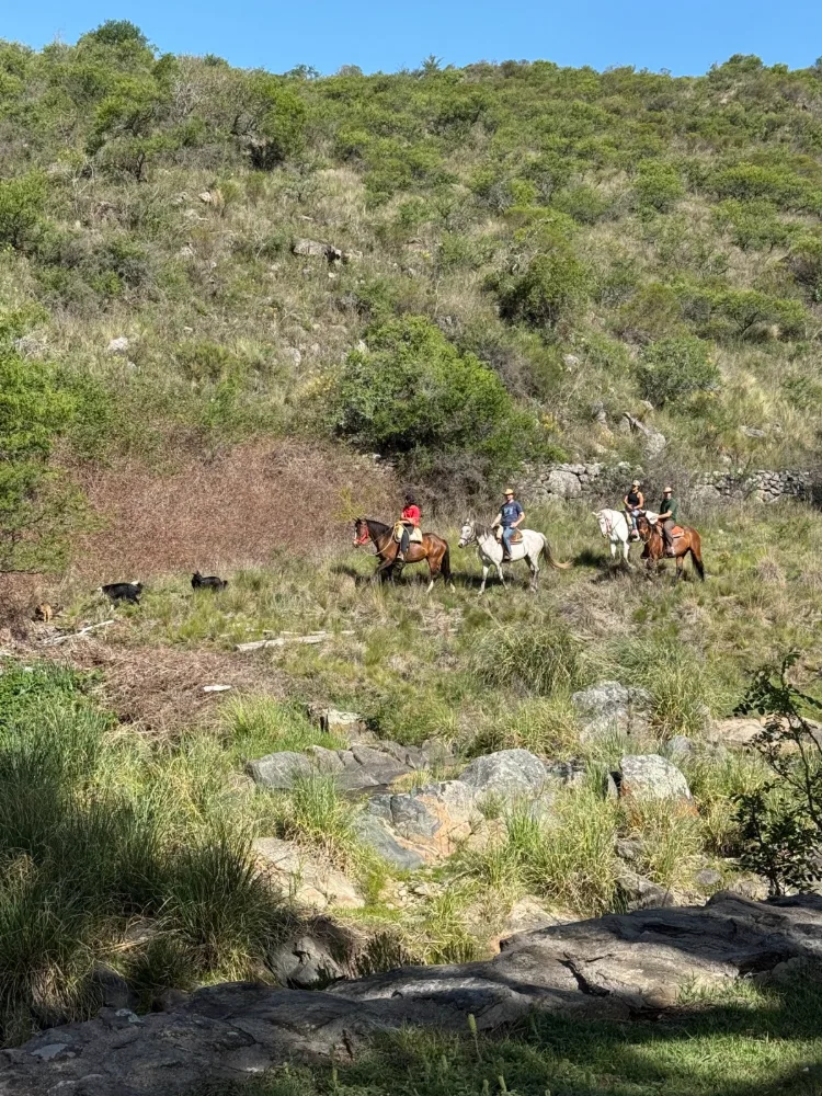 Guided horseback ride through the sierras